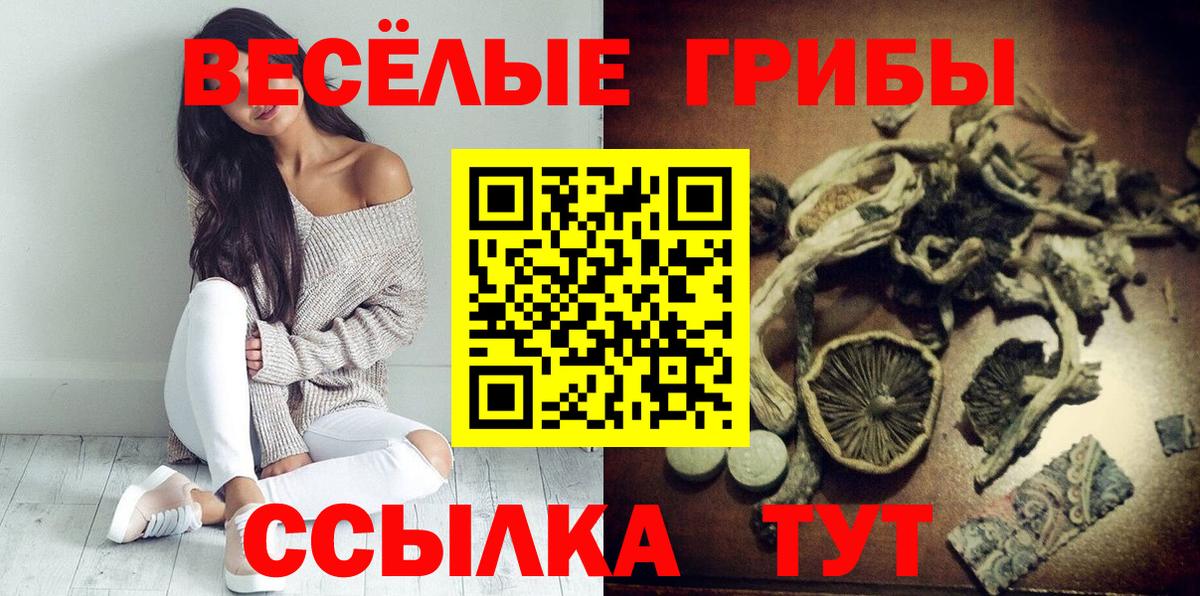 Псилоцибиновые грибы Magic Shrooms  Вход с VPN  Новочеркасск 